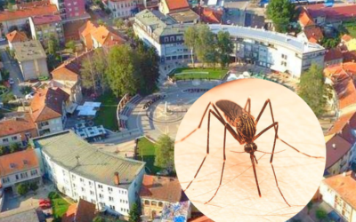 Zaštitnik zdravlja građana Požege: Redovno tretiranje komaraca za bezbedno i prijatno leto