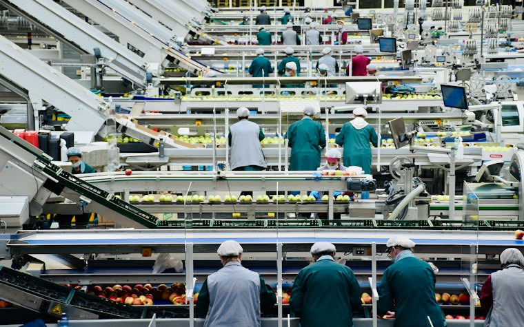 Deratizacija u prehrambenoj industriji: HACCP zahtevi i dobra praksa