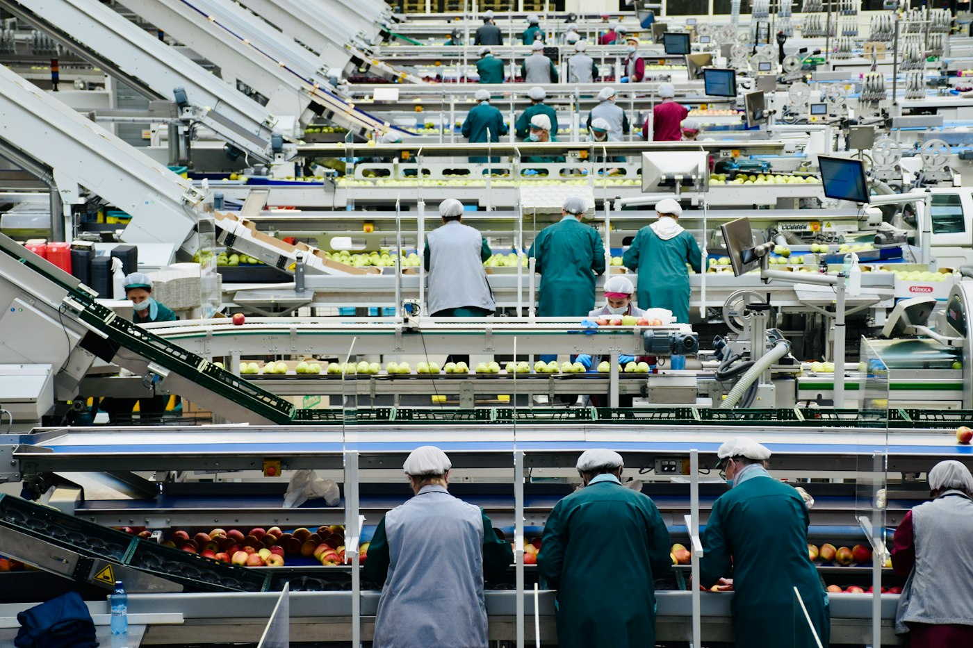 Deratizacija u prehrambenoj industriji: HACCP zahtevi i dobra praksa